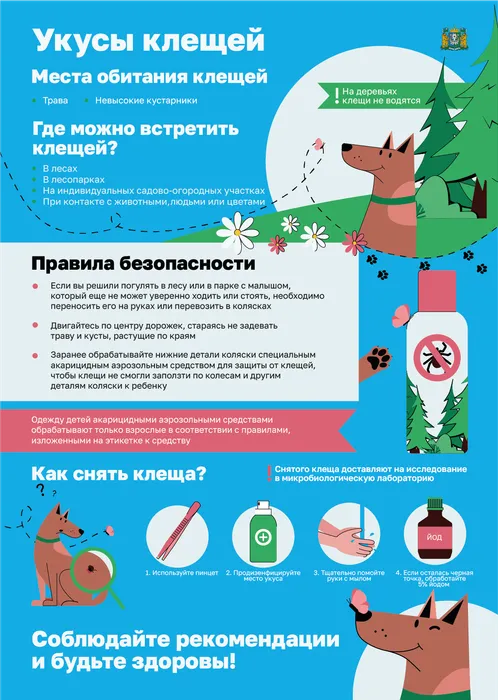 Укусы клещей и место обитания