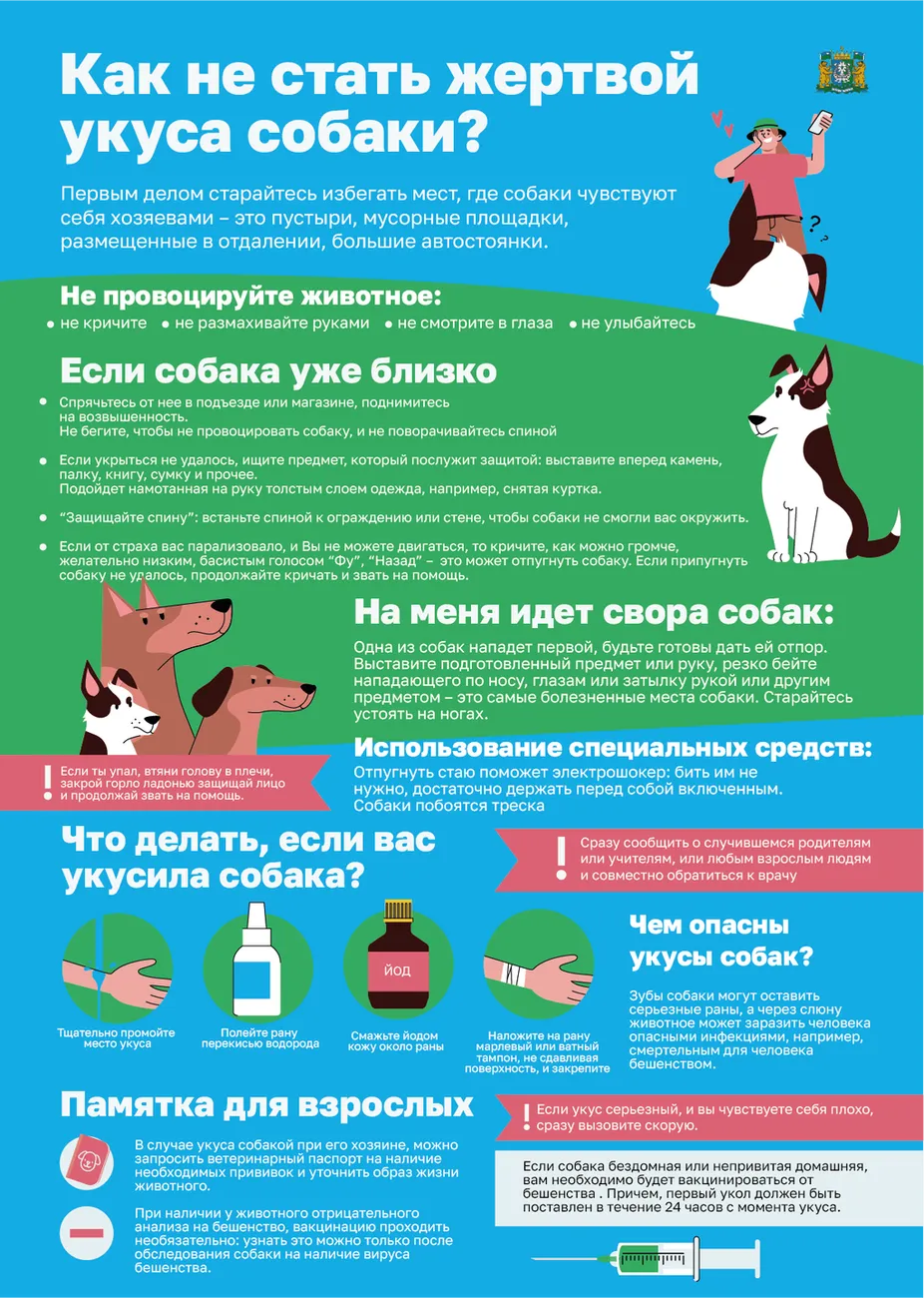 Как не стать жертвой укуса собак