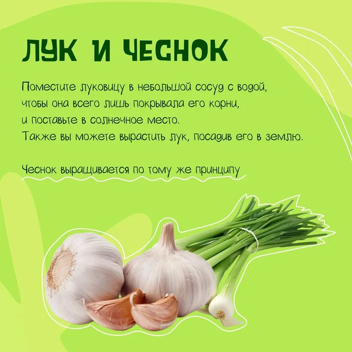 YtSE54vMN0c