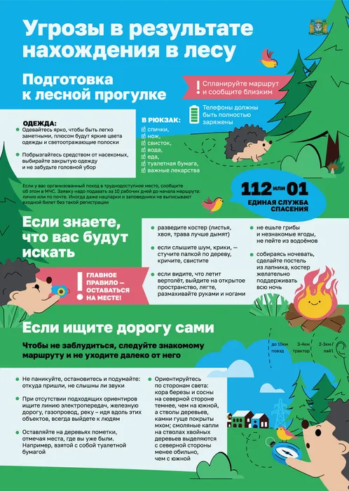 Угроза жизни и здоровью при нахождении в лесу